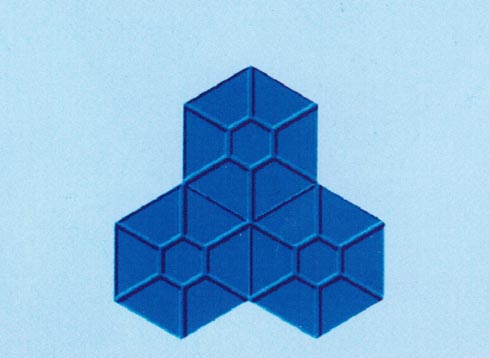 楓 葉